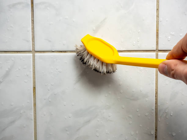Best Affordable Mold Removal  in Wallington, NJ