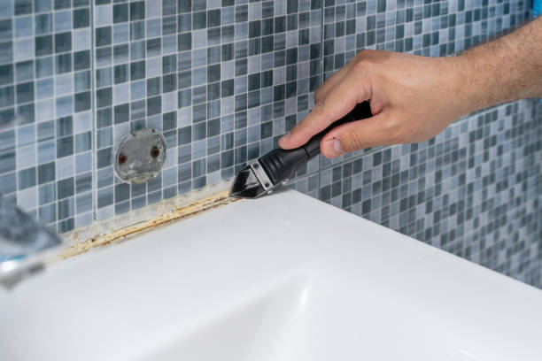 Mold Removal Process in Wallington, NJ