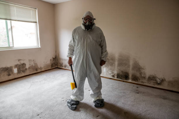 Best Water Damage Restoration  in Wallington, NJ